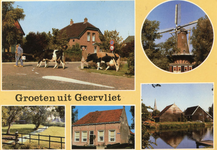 PB2601 Groeten uit Geervliet, samengestelde kaart met vier afbeeldingen van de molen en diverse straatbeelden, 1983