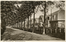 PB3004 Woningen langs de Brielse Straatweg, 1929