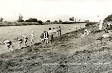 PB4137 Kinderen springen vanaf de oever in het Kanaal door Voorne: 'vacantievreugde aan het Voornse Kanaal', ca. 1960