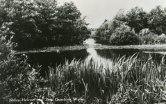 PB4359 Het Quackjeswater, 1949
