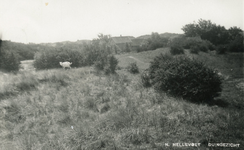 PB4421 Duingezicht, ca. 1930