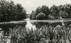 PB4424 Het Quackjeswater, 1956