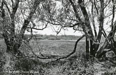PB4425 Het Quackjeswater, ca. 1966