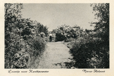 PB4427 Laantje naar het Quackjeswater, ca. 1950