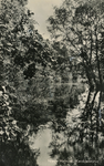 PB4431 Het Quackjeswater, 1955