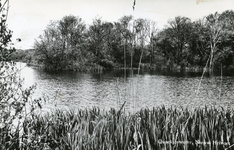 PB4433 Het Quackjeswater, ca. 1968