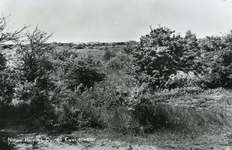 PB4434 Het Quackjeswater, ca. 1958