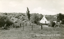 PB4435 Huisje in de Duinen, 1959