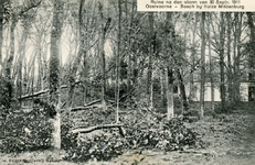 PB5213 Schade in het Mildenburgbos na de storm van 30 september 1911, 1911