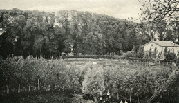 PB5253 Oostvoorne; Kijkje op Oostvoorne vanaf de Burcht, ca. 1910
