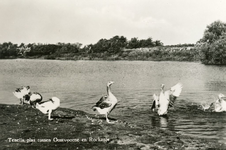 PB5307 De Tenellaplas, ca. 1958