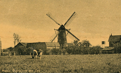 PB5385 De molen van Oostvoorne, ca. 1919