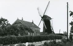 PB5390 De molen van Oostvoorne, ca. 1950