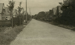 PB5506 De kruising Bosweg en de Duinoordseweg, ca. 1930