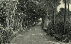 PB5552 Kijkje in de Duinoordseweg, ca. 1918