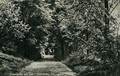 PB5557 Kijkje in de Duinlaan, ca. 1930