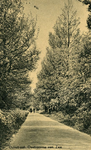 PB5558 Kijkje in de Duinlaan, ca. 1947