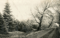 PB5567 Kijkje in de Groeneweg, ca. 1936