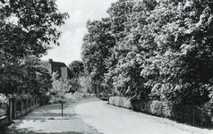PB5681 Kijkje in de Parklaan, ca. 1950