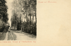 PB5740 Kijkje in de Groene of Uilevluchtse weg, ca. 1903