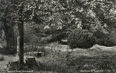 PB5835 Oostvoorne; Gezicht in het Overbosch, ca. 1930