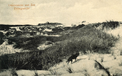 PB5871 Gezicht op de duinen, 1916