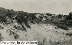 PB7209 De duinen van Rockanje, ca. 1950