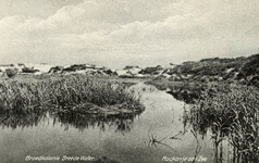 PB7248 Natuurgebied en broedkolonie Het Brede Water, ca. 1936