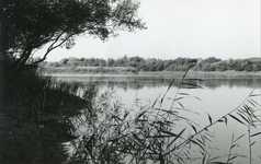 PB7250 Natuurgebied en broedkolonie Het Brede Water, ca. 1956