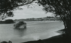PB7251 Natuurgebied en broedkolonie Het Brede Water, ca. 1956