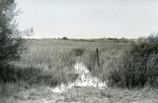 PB7256 Natuurgebied en broedkolonie Het Brede Water, ca. 1935