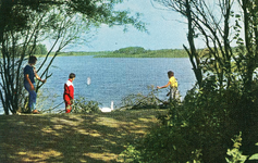 PB7258 Natuurgebied en broedkolonie Het Brede Water, 1977