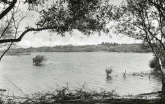 PB7260 Natuurgebied en broedkolonie Het Brede Water, 1963