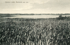 PB7262 Natuurgebied het Quackjeswater, ca. 1930
