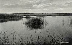 PB7263 Natuurgebied het Quackjeswater, ca. 1950