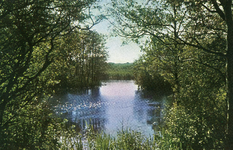 PB7272 Natuurgebied het Quackjeswater, ca. 1963
