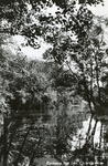 PB7286 Natuurgebied het Quackjeswater, 1966