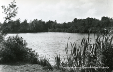 PB7299 Natuurgebied Tenellaplas, 1965