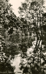 PB7300 Rockanje; Natuurgebied het Quackjeswater, 1963