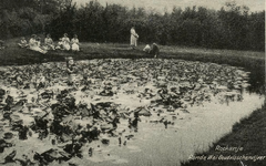 PB7324 Goudvissenvijver in het Rondeweibos, ca. 1932