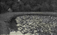 PB7326 Goudvissenvijver in het Rondeweibos, ca. 1933