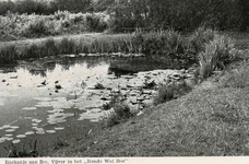 PB7327 Goudvissenvijver in het Rondeweibos, ca. 1938