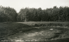 PB7329 Goudvissenvijver in het Rondeweibos, ca. 1935
