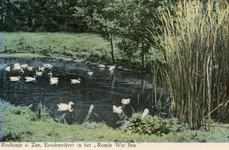 PB7330 Goudvissenvijver in het Rondeweibos, ca. 1935
