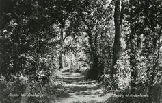 PB7335 Het Rondeweibos, ca. 1950