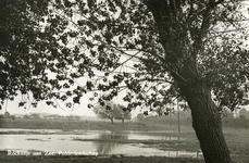 PB7409 Polderlandschap: Schapengorsdijk bij de Walinxweg, 1958