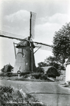 PB7444 De molen van Rockanje, 1958