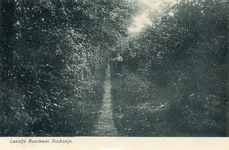 PB7834 Laantje in het Rondeweibos, ca. 1925