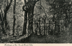 PB7838 kijkje tussen de bomen in het Rondeweibos, ca. 1930