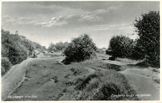 PB7847 Zandweg langs de Duinen, ca. 1915
